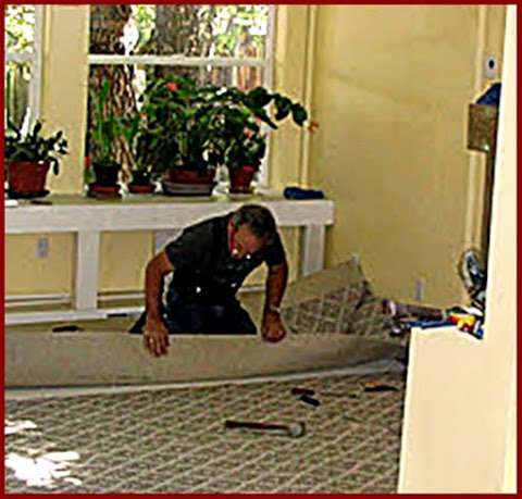 Dennis Harrington Carpet Repair